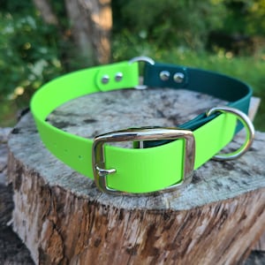 Deluxe Adjustable Buckle Dog Collar, 1" Wide Biothane Waterproof Buckle Collar, Custom Colors, Metals & Sizes