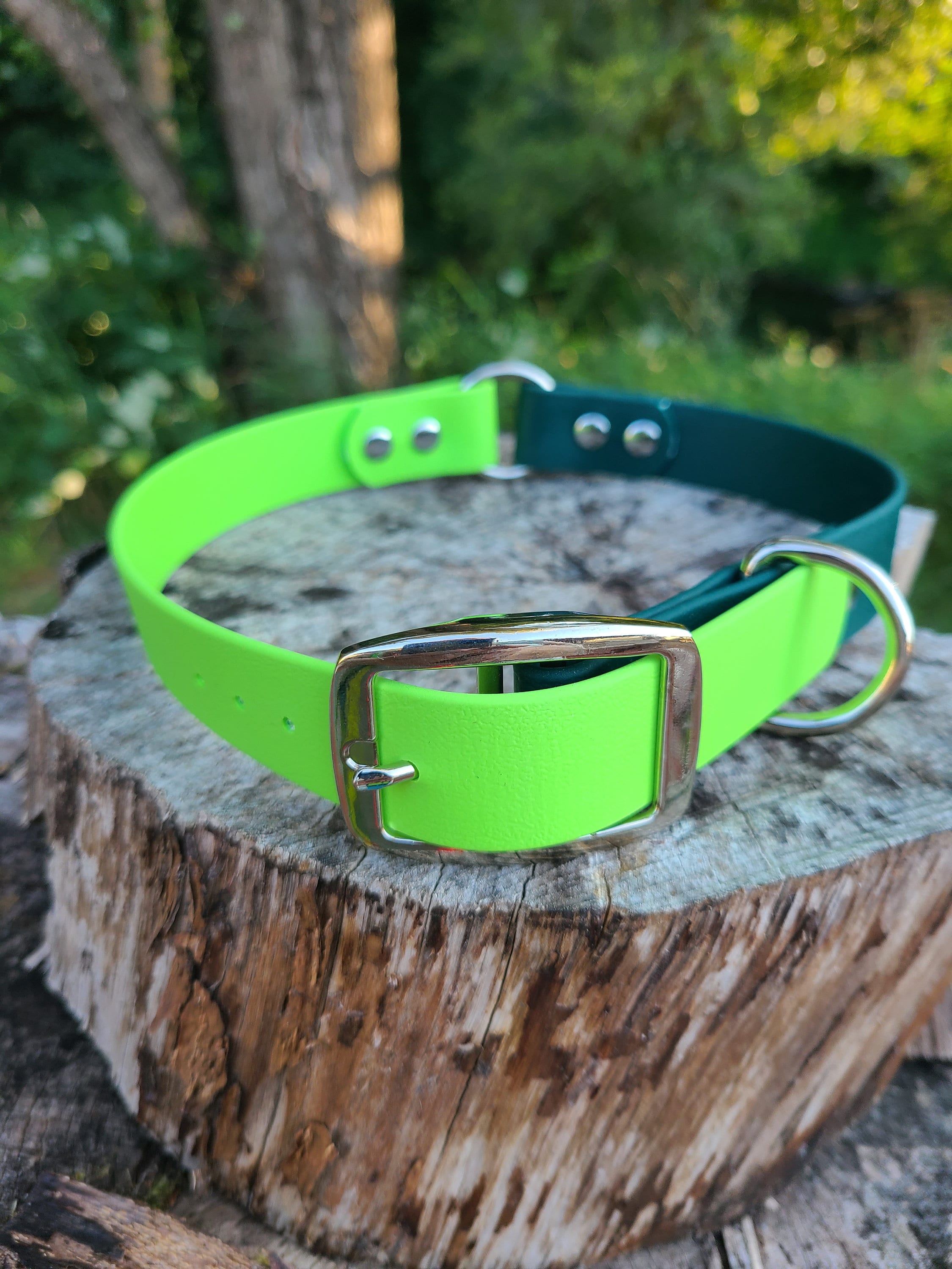 Deluxe Adjustable Dog Collar, 1" Wide Biothane Waterproof Buckle…