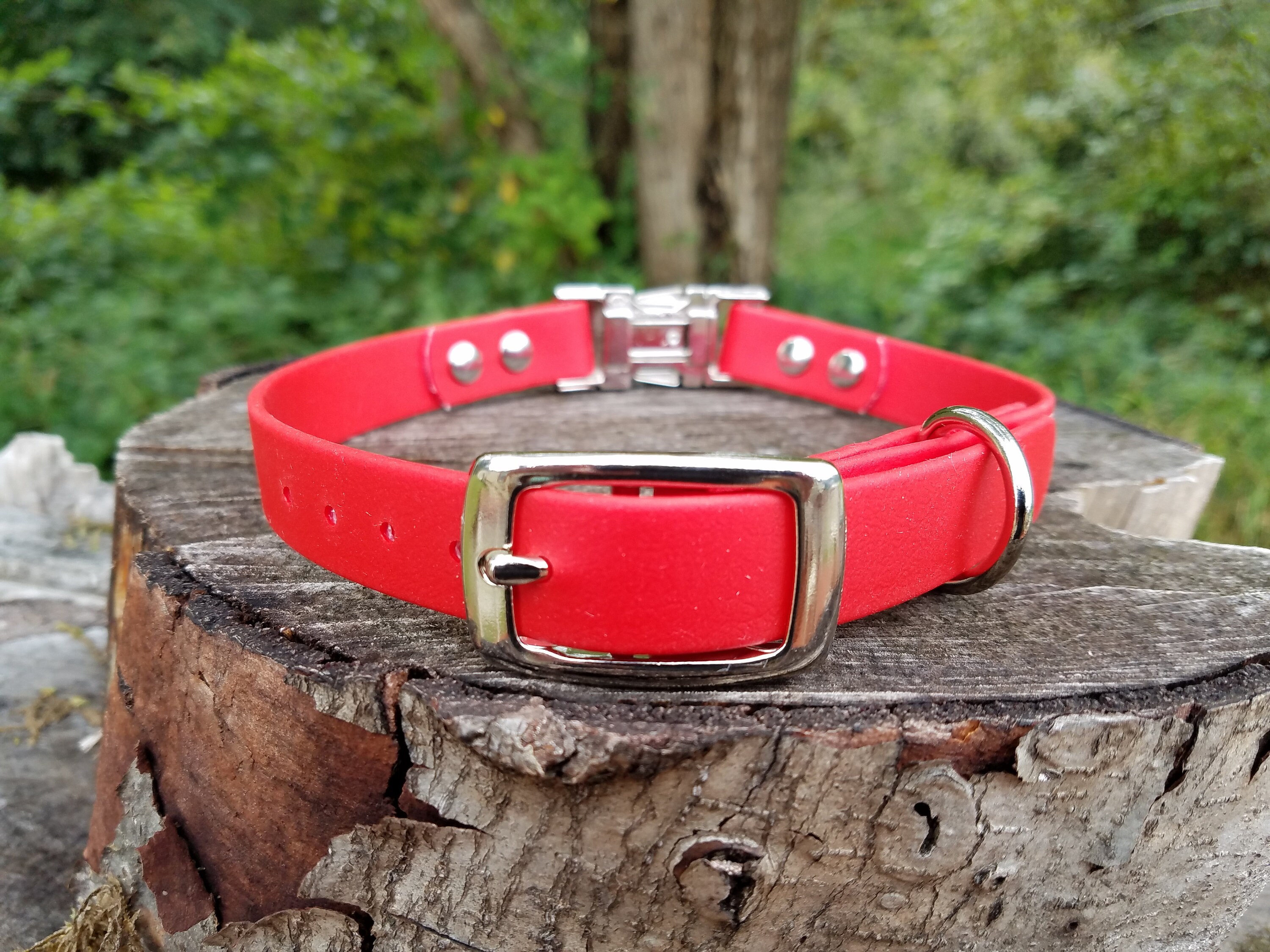 custom biothane collar