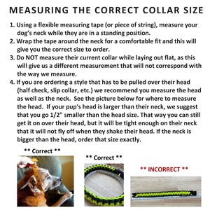 Custom Fishtail Mini Paracord Dog Collar, Choose Your Size and Colors, Our Smallest Weave image 2