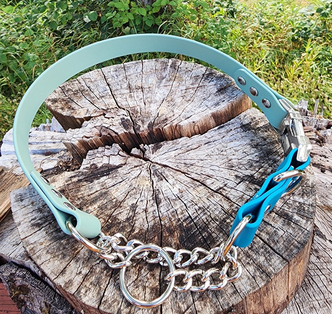 1 Metal Quick Release Half Check Dog Collar, 1 Wide Biothane Waterproof Buckle Martingale Collar