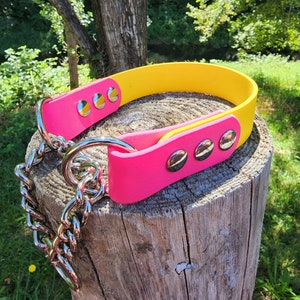 1" Two Color Half Check Dog Collar, 1" Wide Biothane Waterproof Martingale Dog Collar, Custom Colors & Sizes