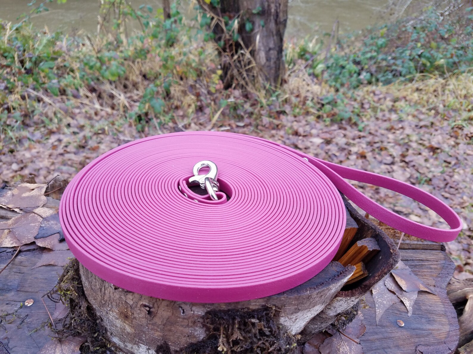 Long Dog Leash 10 to 50 feet 3/8 Wide Biothane Etsy