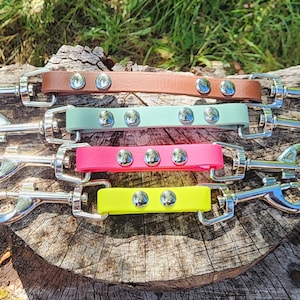 May include: Four colorful dog leashes with silver metal clips and silver metal accents. The leashes are brown, light green, pink, and yellow.
