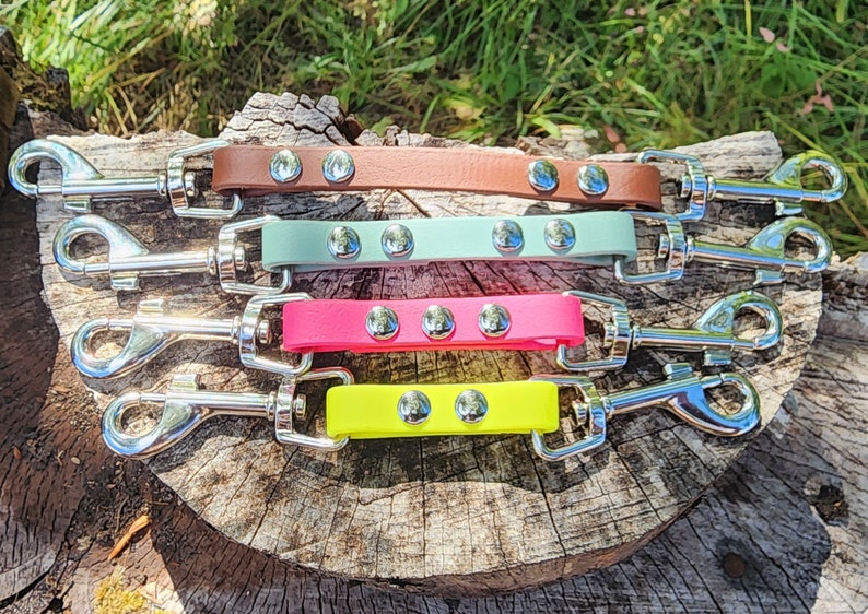 May include: Four colorful dog leashes with silver metal clips and silver metal accents. The leashes are brown, light green, pink, and yellow.