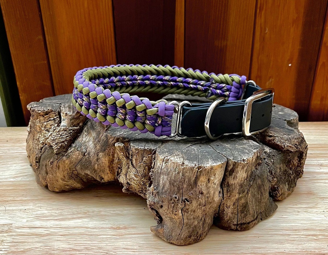 Thick paracord top dog collar