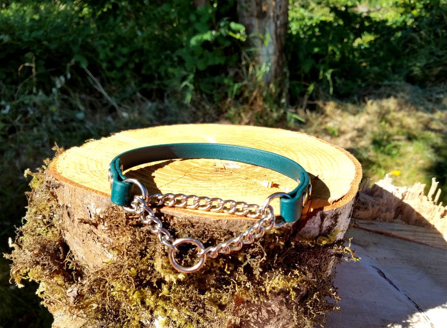 Half Check Dog Collar, 1/2" Wide Biothane Waterproof Martingale …