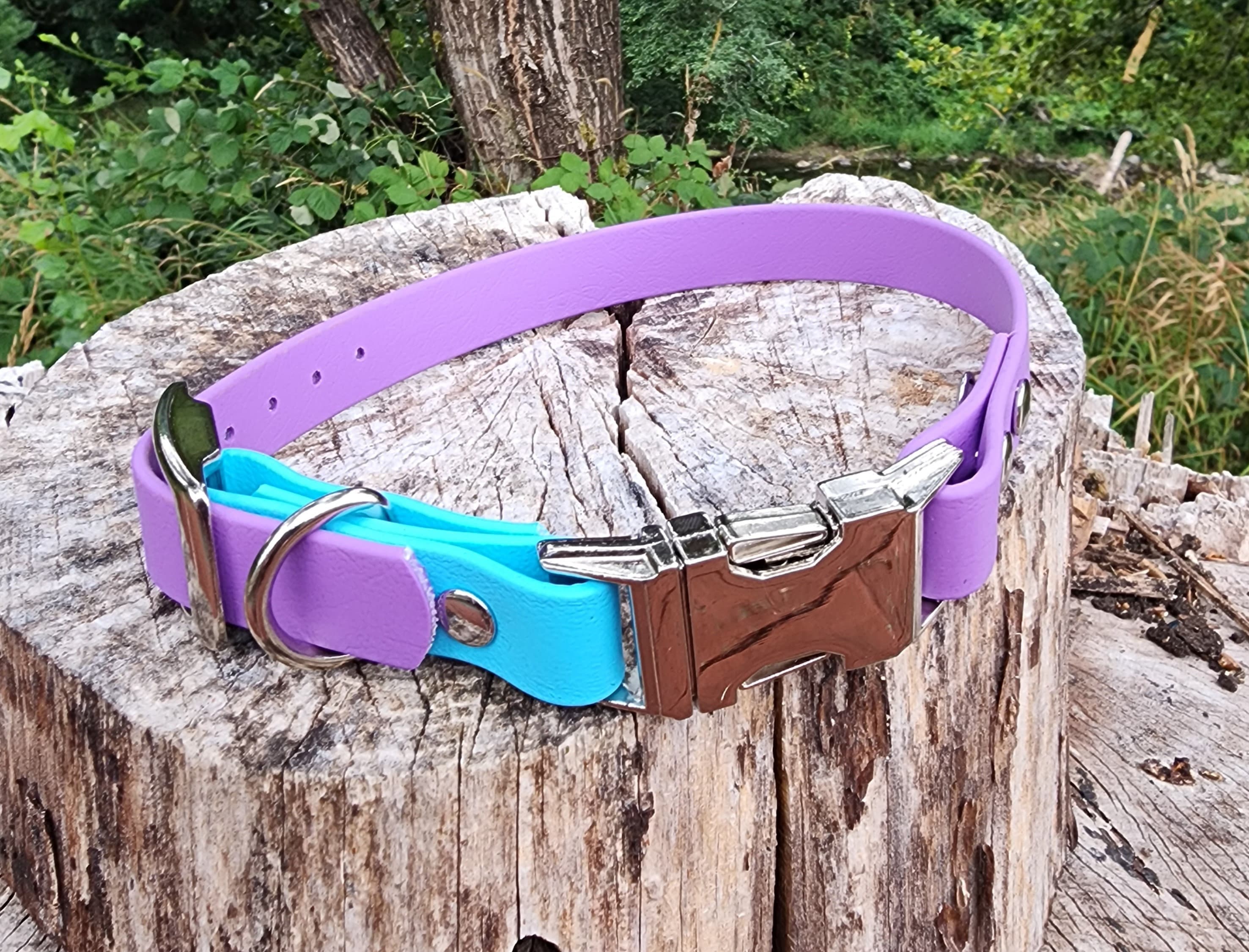 3/4" Adjustable Buckle Quick Release E-Collar Dog Collar, 3/4" Wide Biothane Waterproof Buckle Collar, Custom Color & Sizes