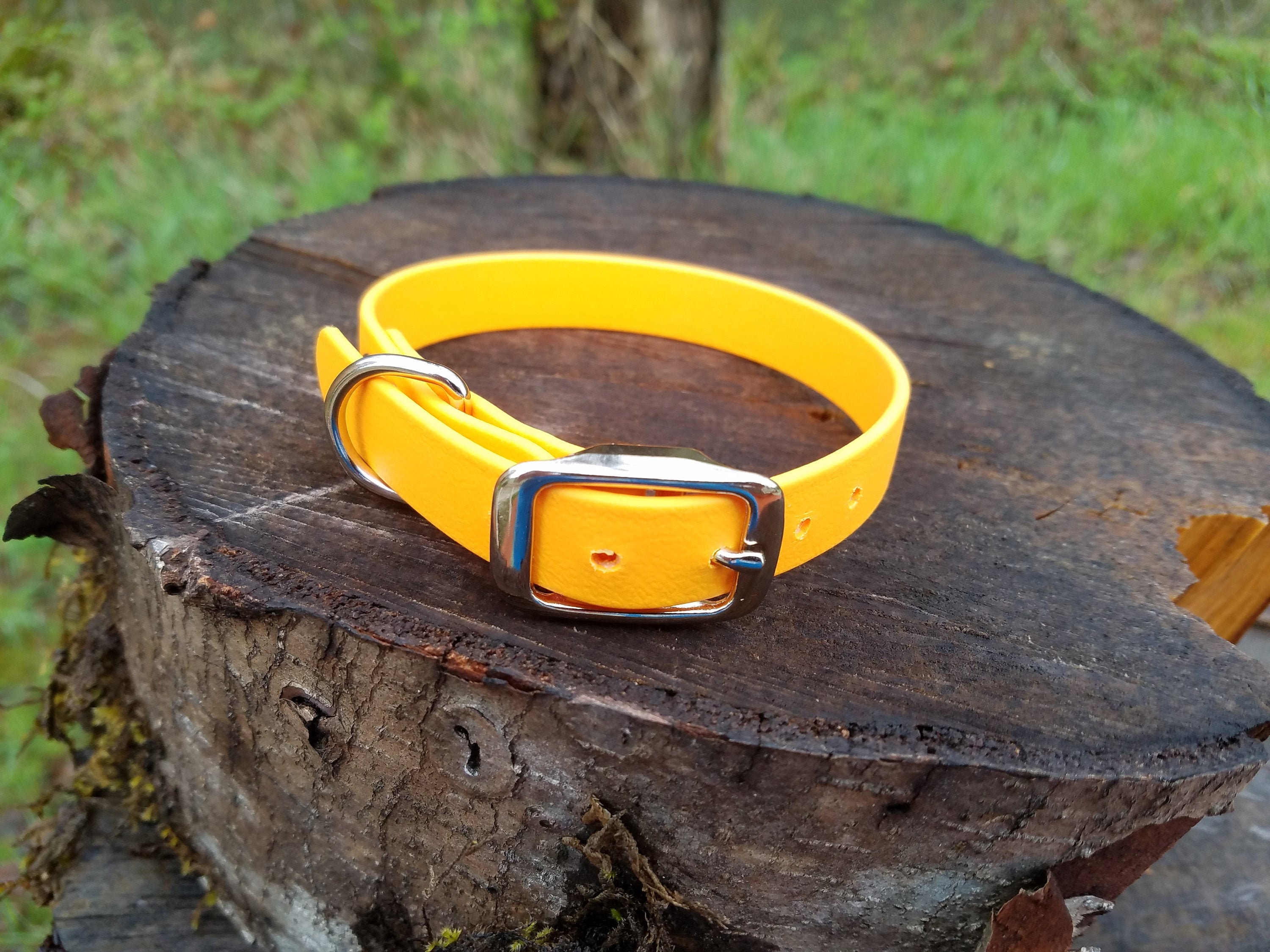 Adjustable Dog Collar, 3/4" Wide Biothane Waterproof Buckle Dog …