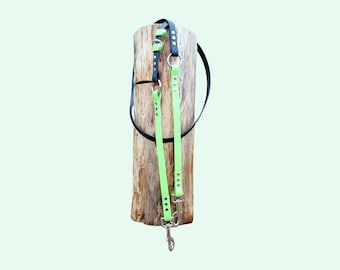 Deluxe Adjustable Biothane Dog Leash, Waterproof Hands-Free Leash Custom Colors, Widths, Lengths & Hardware