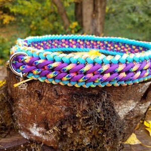 Custom Candy Stripe Paracord Dog Collar, Choose Your Colors & Closure Type, Thick Dog Collar, Wide Dog Collar, Sight Hound Braided Collar