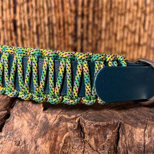 Adjustable Buckle Collar, 1 1/2" Wide Biothane and Paracord Waterproof Buckle Collar, Custom Colors & Sizes