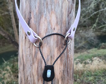 e collar replacement remote