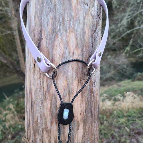 Biothane Ecollar Strap Etsy