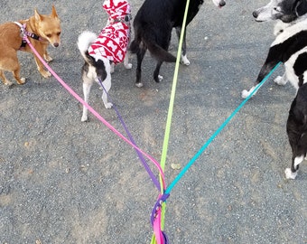 Standard Small Dog Leash, 3/8&quot; Wide Biothane Waterproof Custom Lead, Custom Colors, Metals & Sizes