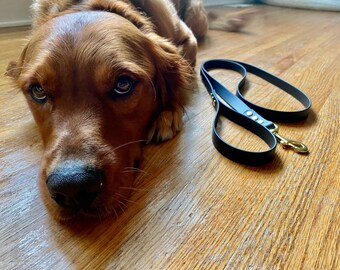 Standard Dog Leash, 3/4" Wide Biothane Waterproof Dog Leash, Custom Colors and Snaps - Steel, Brass, Nickel, Stainless and more!