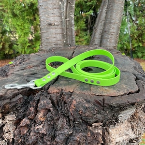 Standard Dog Leash, 3/4" Wide Biothane Waterproof Dog Leash, Custom Colors and Snaps - Steel, Brass, Nickel, Stainless and more!
