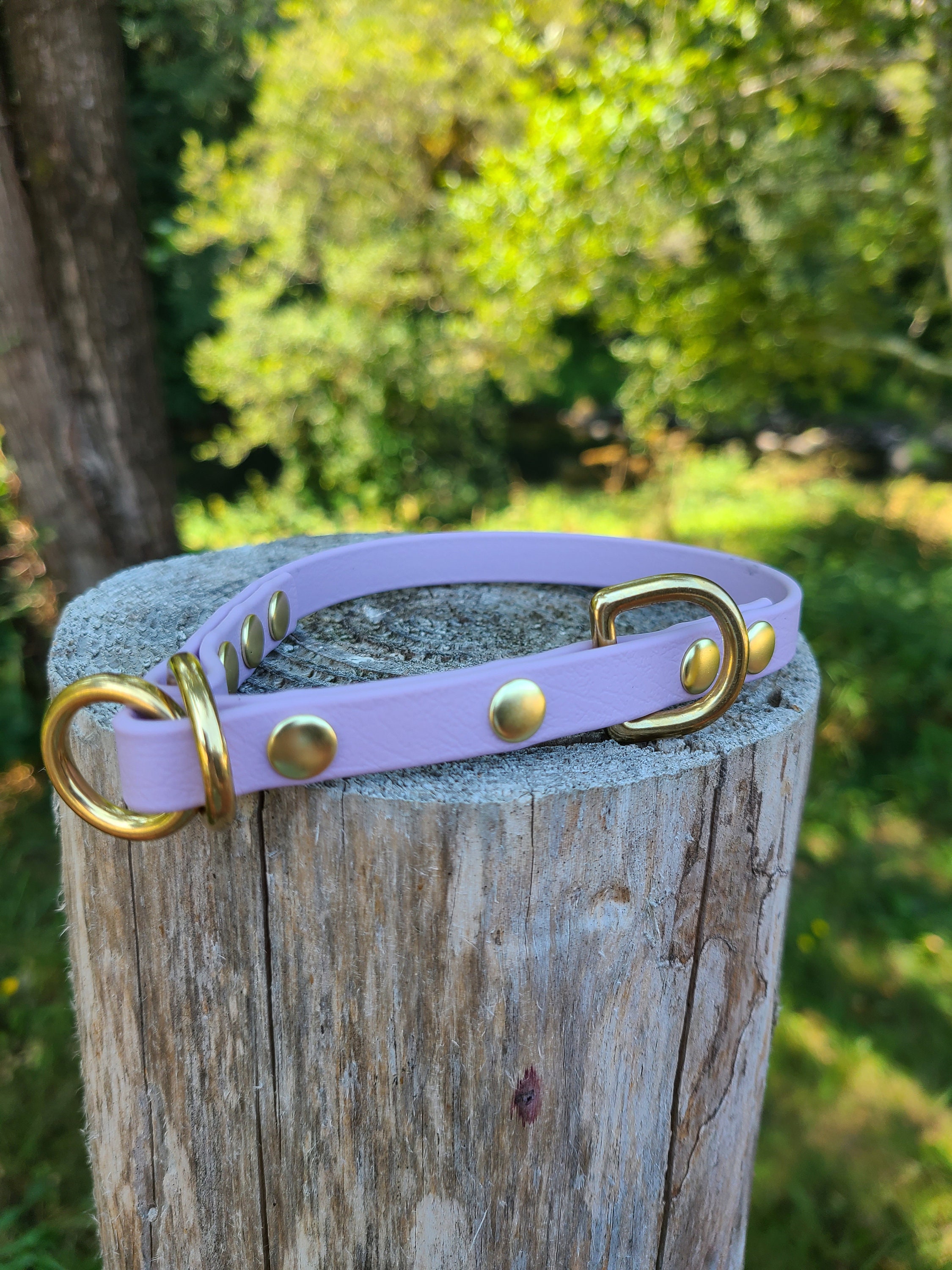 Limited Slip Dog Collar 1/2 Wide Biothane Waterproof Etsy UK