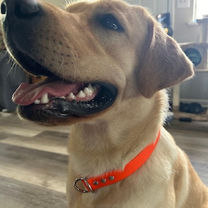 Slip Dog Collar, 3/4&quot; Wide Biothane Waterproof Slide Collar, Custom Colors, Metals & Sizes