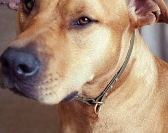 Slip Dog Collar, 3/8&quot; Wide Biothane Waterproof Slide Dog Collar, Custom Colors, Sizes and Metals!