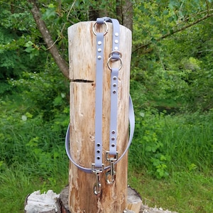 Peut inclure: Deux laisses pour chien de couleur lavande avec des accessoires en argent et des anneaux métalliques. Les laisses sont enroulées autour d'une bûche de bois.