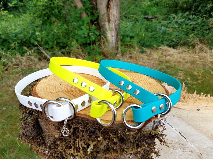 biothane slip collar