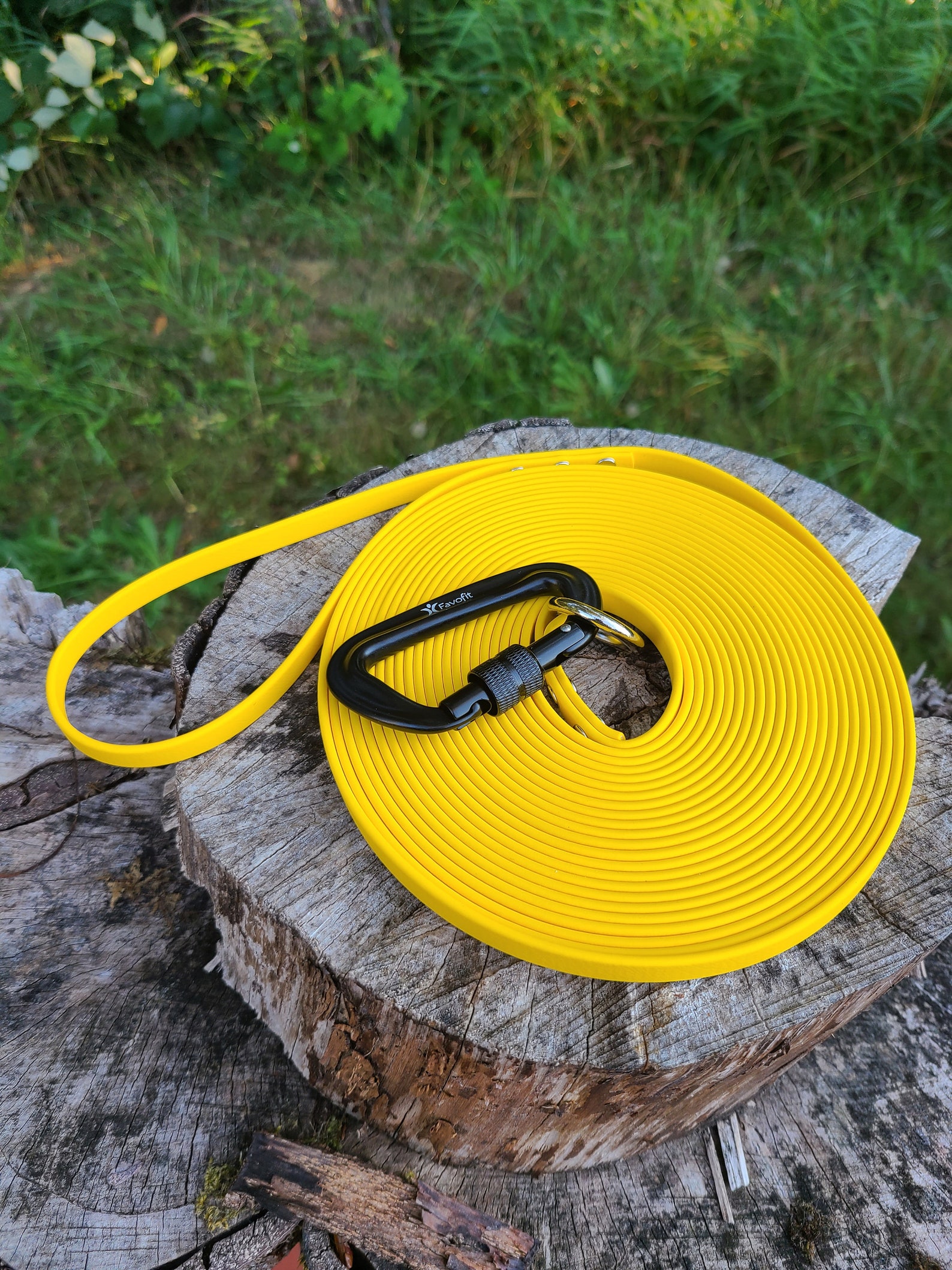 Long Dog Leash 10 to 50 Feet 3/8 Wide Biothane Etsy