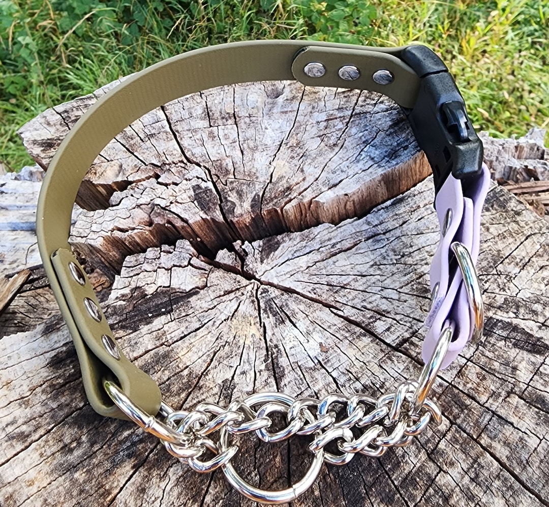 1 YKK Plastic Quick Release Half Check Dog Collar, 1 Wide Biothane Waterproof Buckle Martingale