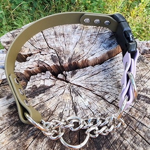 1&quot; YKK Plastic Quick Release Half Check Dog Collar, 1&quot; Wide Biothane Waterproof Buckle Martingale Collar, Custom Color & Sizes