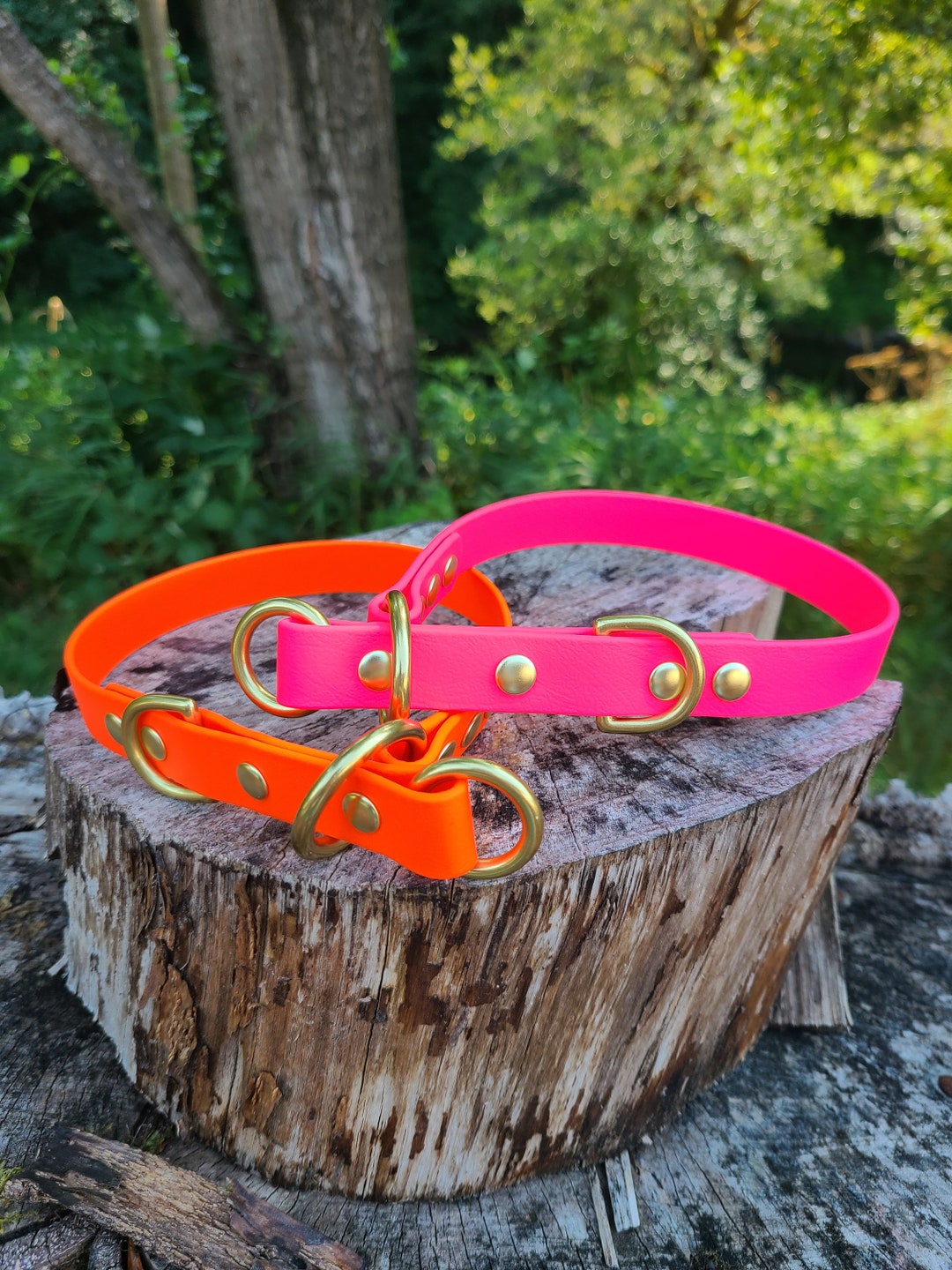 Limited Slip Dog Collar, 3/4 Wide Biothane Waterproof Slip Release