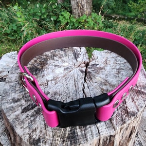 1&quot; Non-Adjustable With Handle Quick Release Dog Collar, 1&quot; Wide Biothane Waterproof Dog Collar, Custom Colors, Metals & Sizes