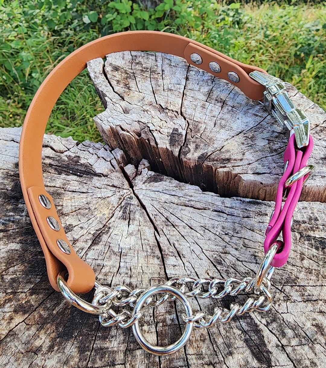 3/4 Metal Quick Release Half Check Dog Collar, 3/4 Wide Biothane Waterproof Buckle Martingale