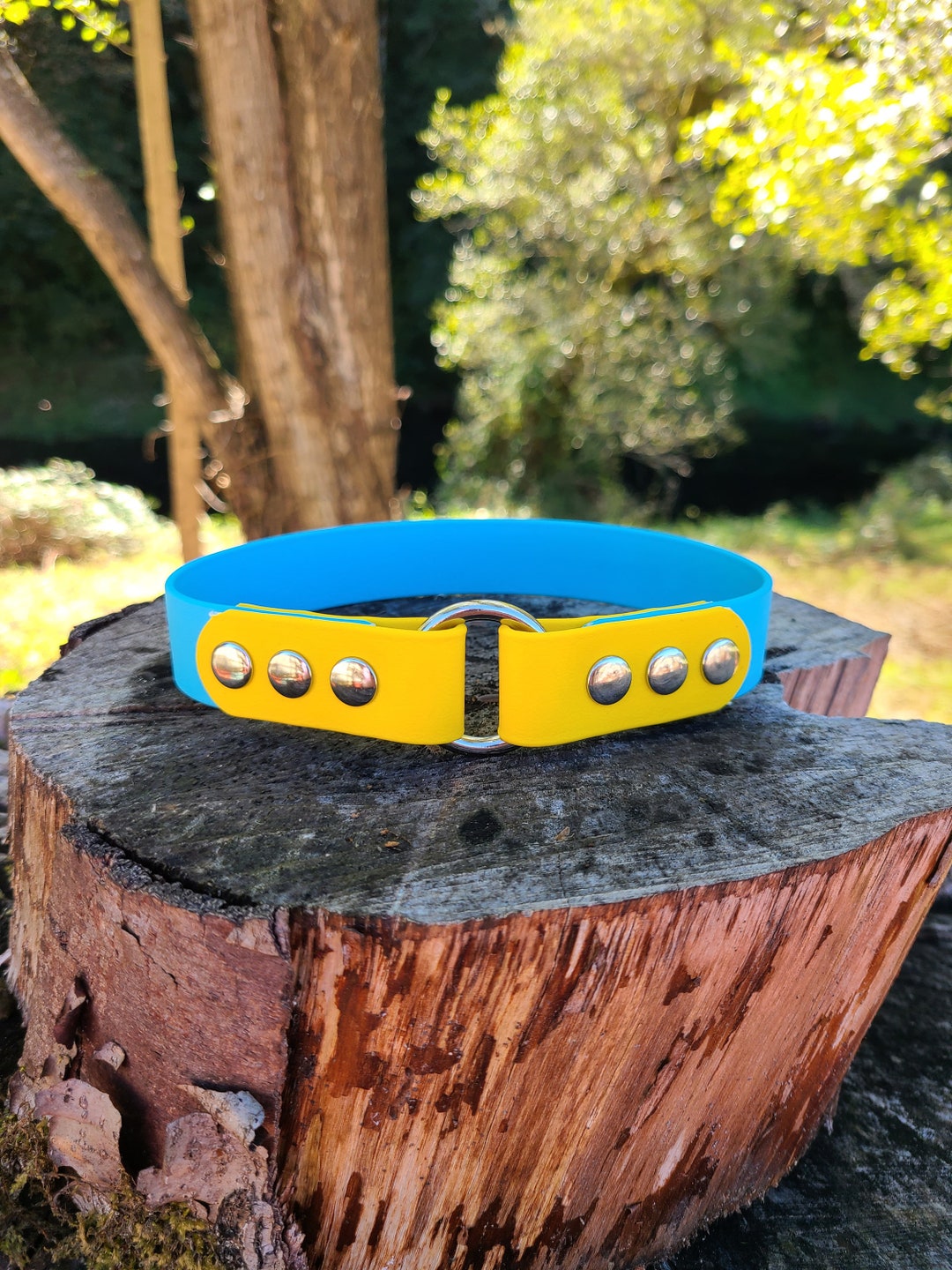 2 Color Tag Dog Collar, 1 Wide Biothane Waterproof House Collar, Custom