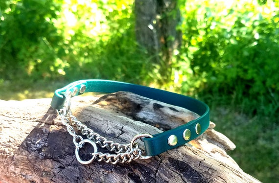 Half Check Dog Collar 1 2 Wide Biothane Waterproof Martingale Collar Custom Colors Sizes Etsy
