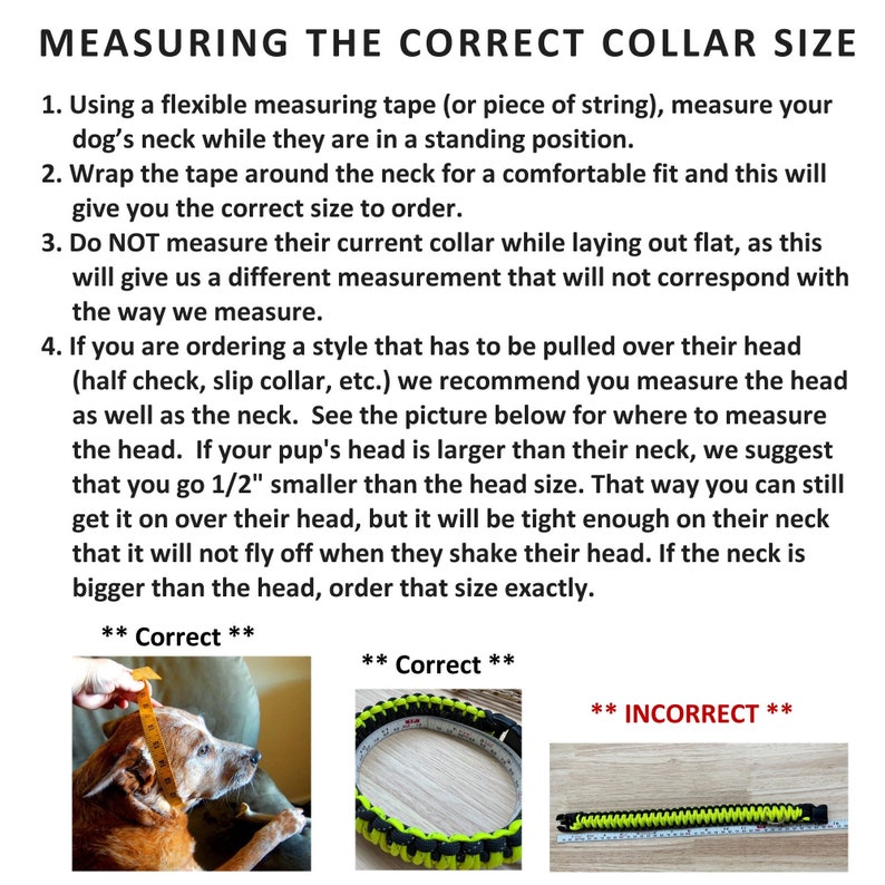 Pu&ograve; includere: Diagramma che mostra il modo corretto e sbagliato di misurare il collo di un cane per un collare. Il modo corretto &egrave; misurare il collo mentre il cane &egrave; in piedi, e il modo sbagliato &egrave; misurare il collare mentre &egrave; disteso. Il diagramma include anche del testo che spiega l'importanza di misurare la testa per i collari che devono essere tirati sopra la testa.
