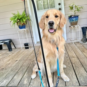 Deluxe Adjustable Dog Leash, 3/4&quot; Wide Biothane Waterproof Hands Free Leash, Custom Colors and Snaps - Steel, Brass, Stainless and more!