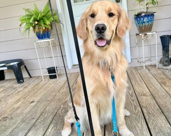 Deluxe Adjustable Dog Leash, 3/4" Wide Biothane Waterproof Hands Free Leash, Custom Colors and Snaps - Steel, Brass, Stainless and more!