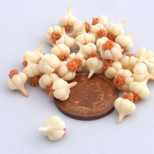 1:12 Scale Set of 10 Garlic Bulbs Dolls House Miniature Food Vegetables Accessory