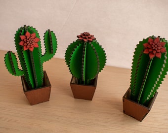 Desktop Cactus DIY Flat Pack Puzzle