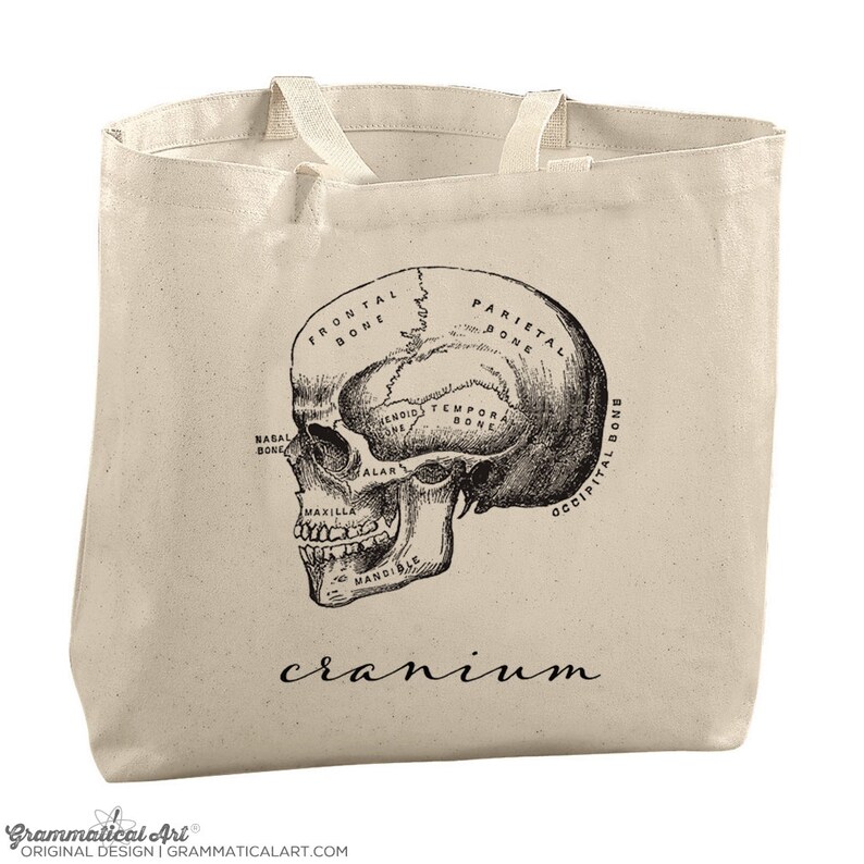 Anatomie Print Med School Geschenken Med Student Geschenken Biologie Geschenken Wetenschap Leraar Geschenken Schedel Decor Canvas Tote Bags voor boodschappen doen afbeelding 1