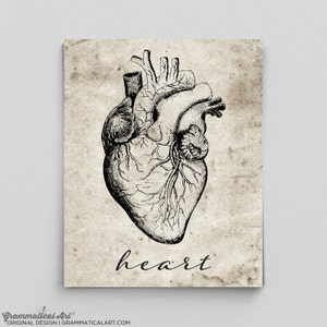 Heart Print Vintage Heart Poster Human Anatomy Poster Anatomy Art Anatomy Print Graduation Gifts for Doctors Science Art Science Poster