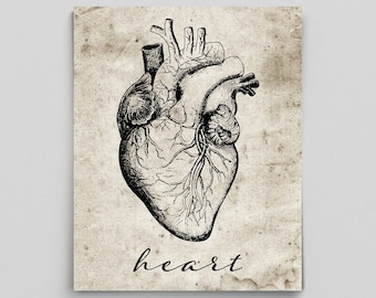 Heart Print Vintage Heart Poster Human Anatomy Poster Anatomy Art Anatomy Print Graduation Gifts for Doctors Science Art Science Poster