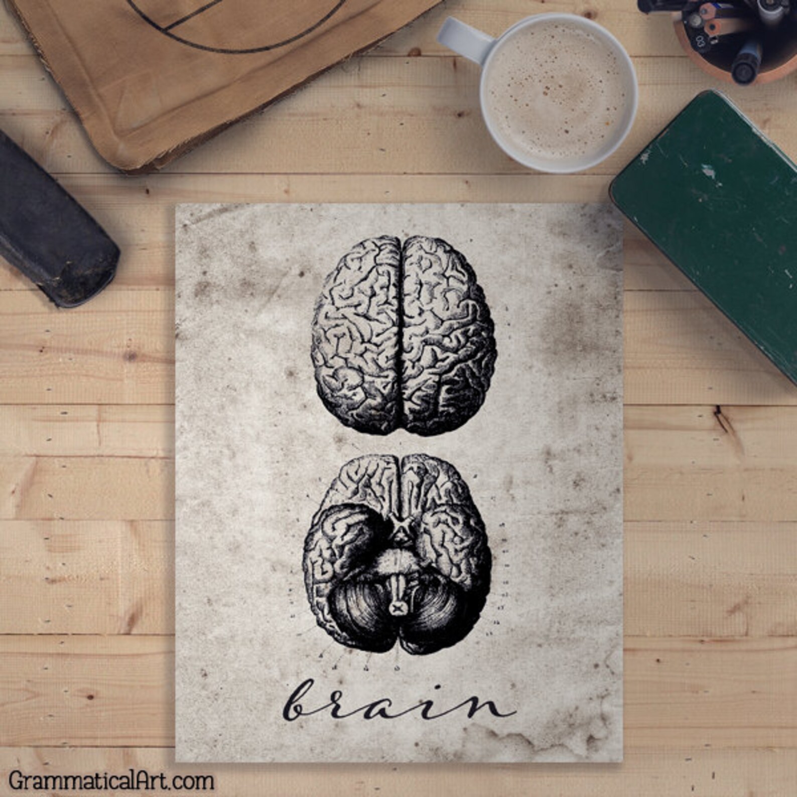 Brain Print Vintage Brain Poster Human Anatomy Poster Anatomy - Etsy