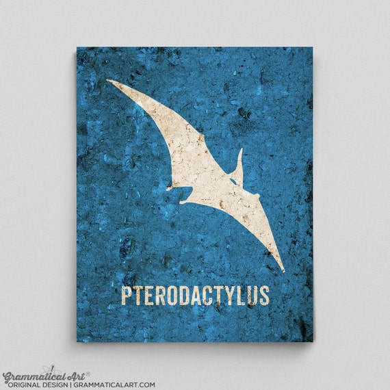 Pterodactyloidea Collection of Photo Prints and Gifts