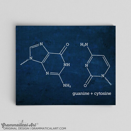 Chemistry Phd Science Gifts Ideas Science DNA Molecule Print Etsy