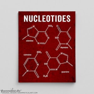 DNA Art DNA Poster Nucleotides Science Art Biology Biochemistry Office Decor Science Molecule Gifts for Teachers Gifts Chemical Structures