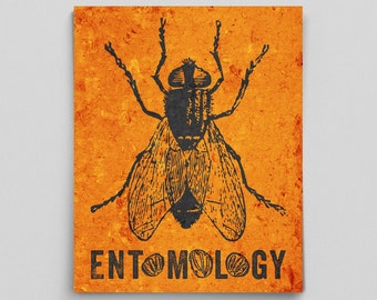 Forensics Gifts Entomology Poster Forensic Science Poster Life Cycle Fly Spiracles Geekery Gifts for Teachers Teacher Gifts Science Gifts