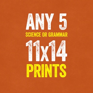 Set of Any 5 11x14 Prints - Grammar or Science - Grammatical Art Home Decor Gift Teacher Gift / Gifts for Teachers English Gifts