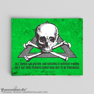 Op de afbeelding: Een groene en grijze afbeelding met een schedel en gekruiste beenderen en de quote "Alle dingen zijn gif, en niets is zonder gif; alleen de dosis maakt dat iets niet giftig is." - Paracelsus.