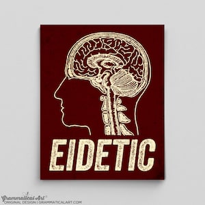May include: A red background with a white outline of a human head with a cross-section of the brain. The text "EIDETIC" is below the head in white.